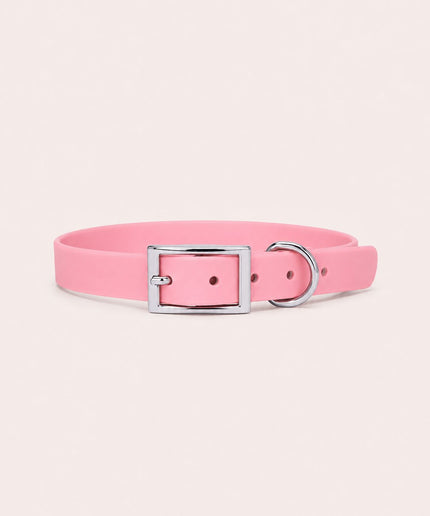 Collier imperméable personnalisé