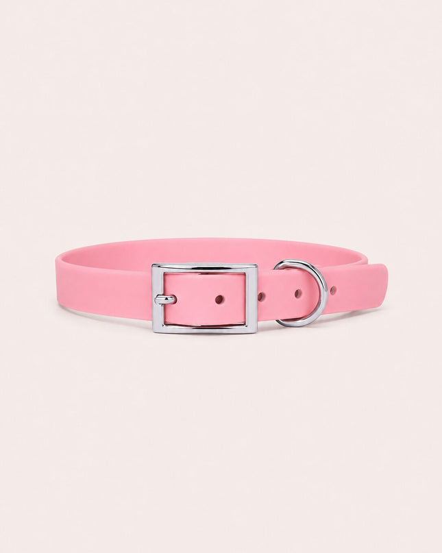 Collier imperméable personnalisé