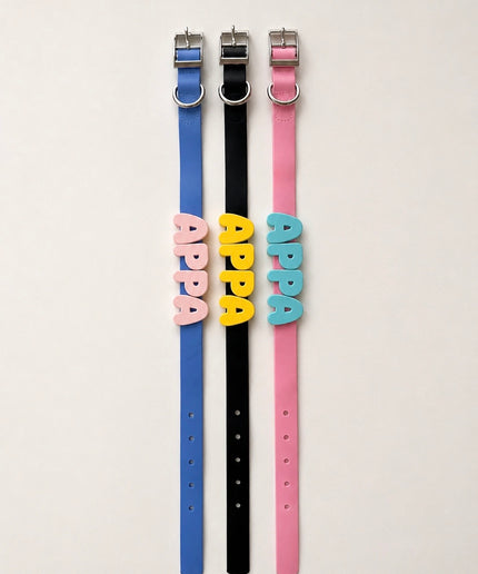 Collier imperméable personnalisé