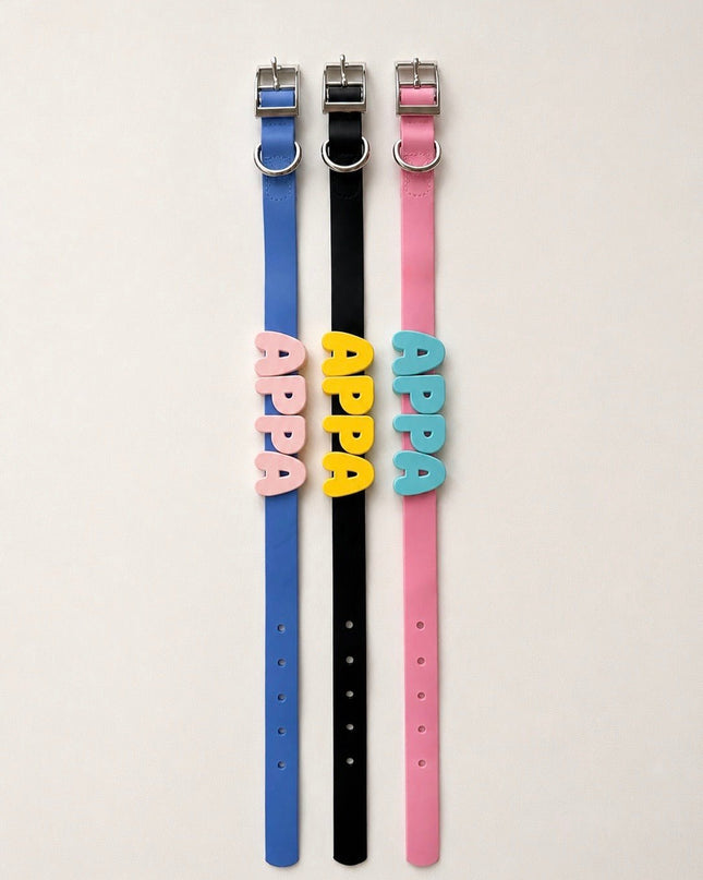 Collier imperméable personnalisé