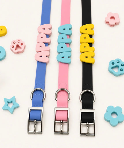 Collier imperméable personnalisé
