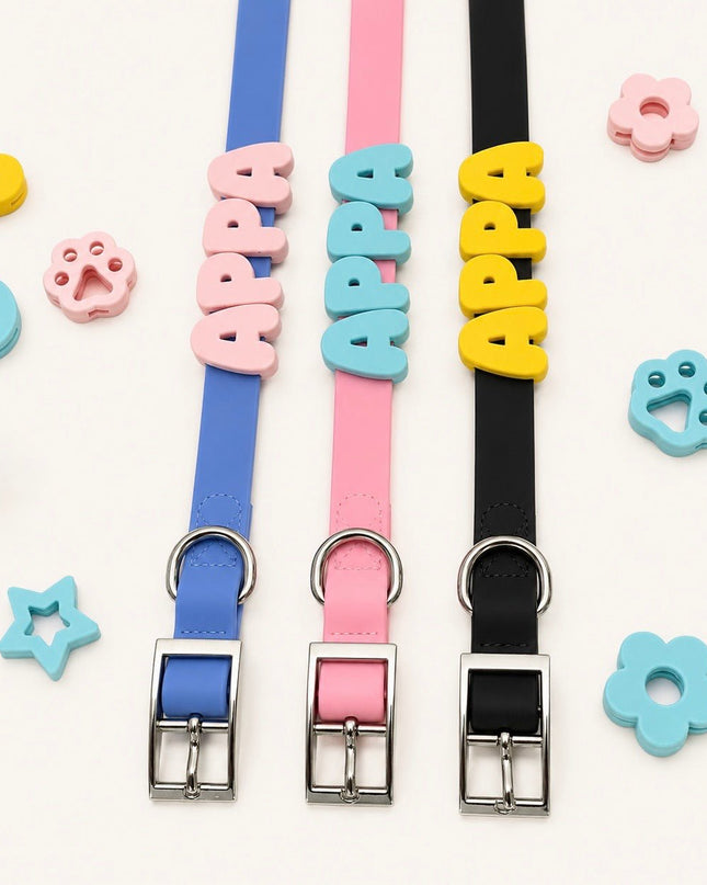 Collier imperméable personnalisé