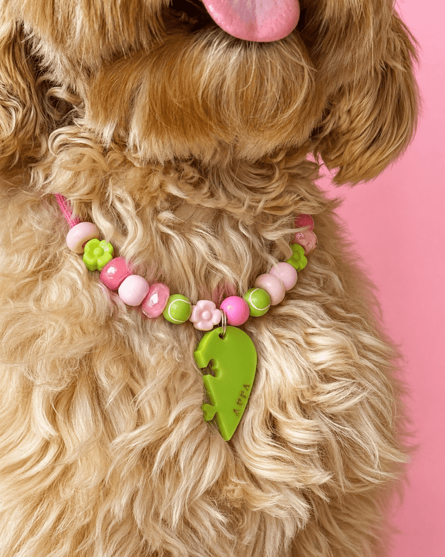 DogID - Dog mom bundle