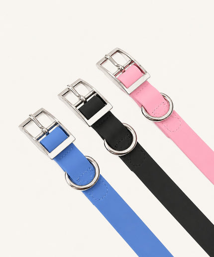 Collier imperméable personnalisé