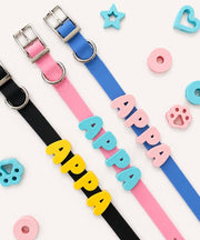Collier imperméable personnalisé