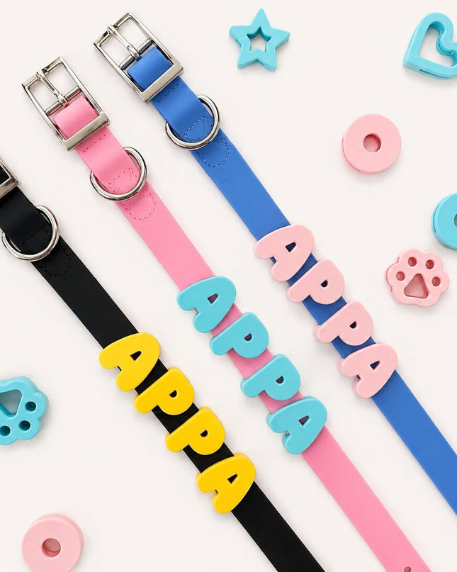 Collier imperméable personnalisé