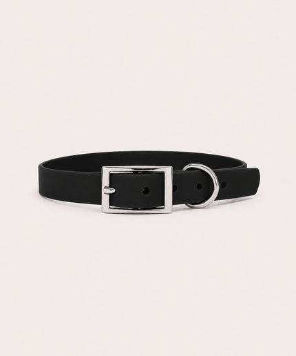 Collier imperméable personnalisé
