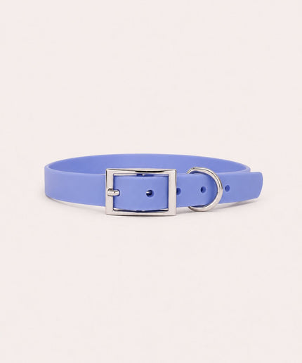 Collier imperméable personnalisé