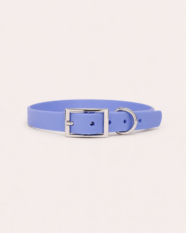 Collier imperméable personnalisé