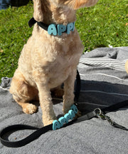 Gepersonaliseerde waterafstotende halsband
