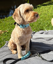 Laisse pour chien personnalisée hydrofuge