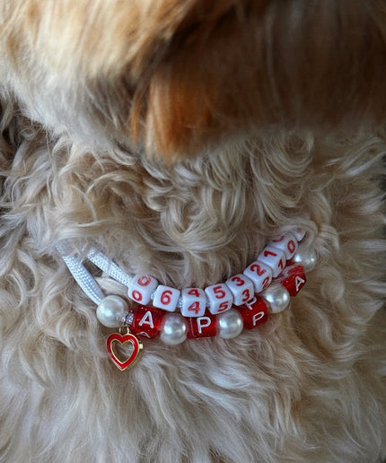 WoofID x TagID – Pack Saint-Valentin