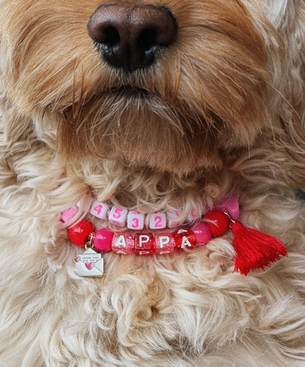 WoofID x TagID – Pack Saint-Valentin