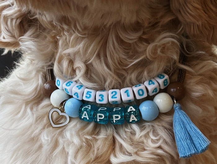 <h1>Omdat elke snoet ❤️ het verdient om zijn weg naar huis te vinden 🏡</h1>