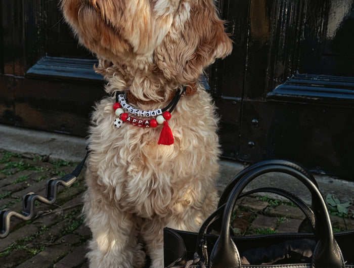 <h2>Samen verbonden, samen stijlvol</h2>