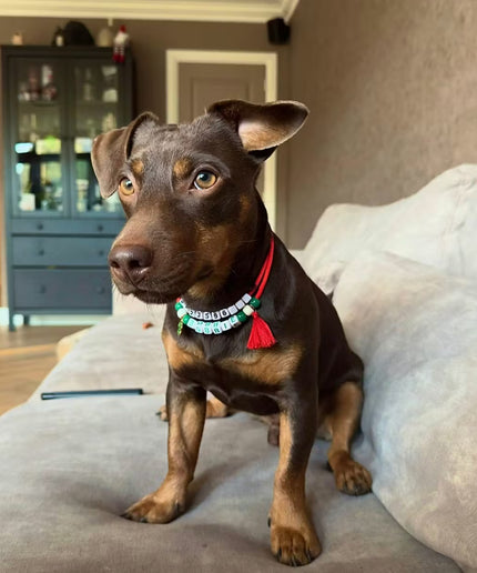 WoofID - Handmade and Personalized Dog Tag