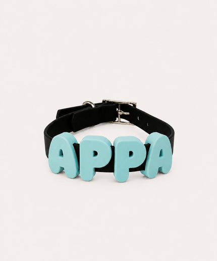 Collier imperméable personnalisé