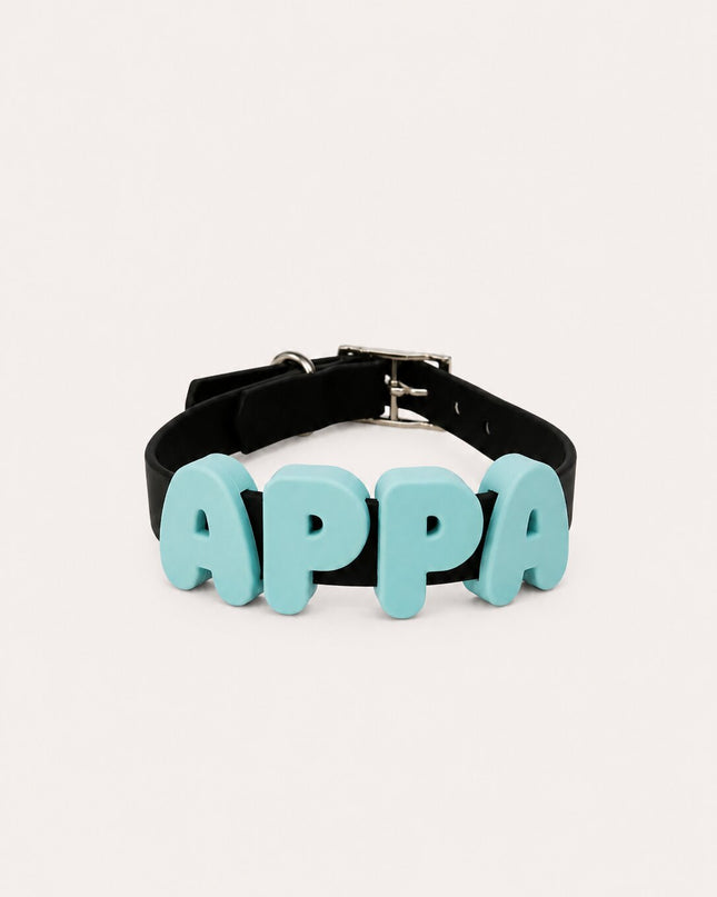 Collier imperméable personnalisé